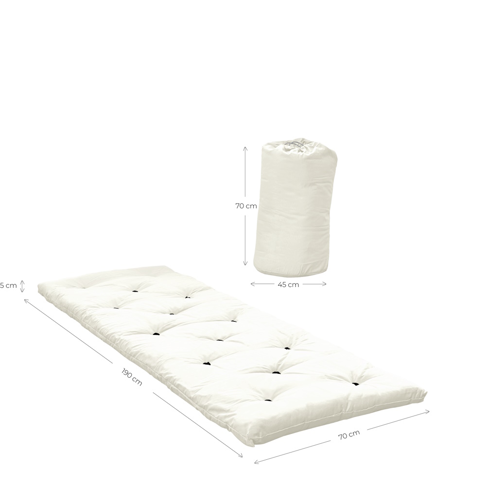 Bed in on sale a bag futon
