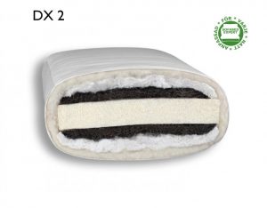 DX 2